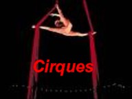 Image g�n�rique illustrant le type Spectacles divers et le sous type Cirques